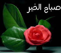 اجمل رسائل وبرقيات عامة 2013